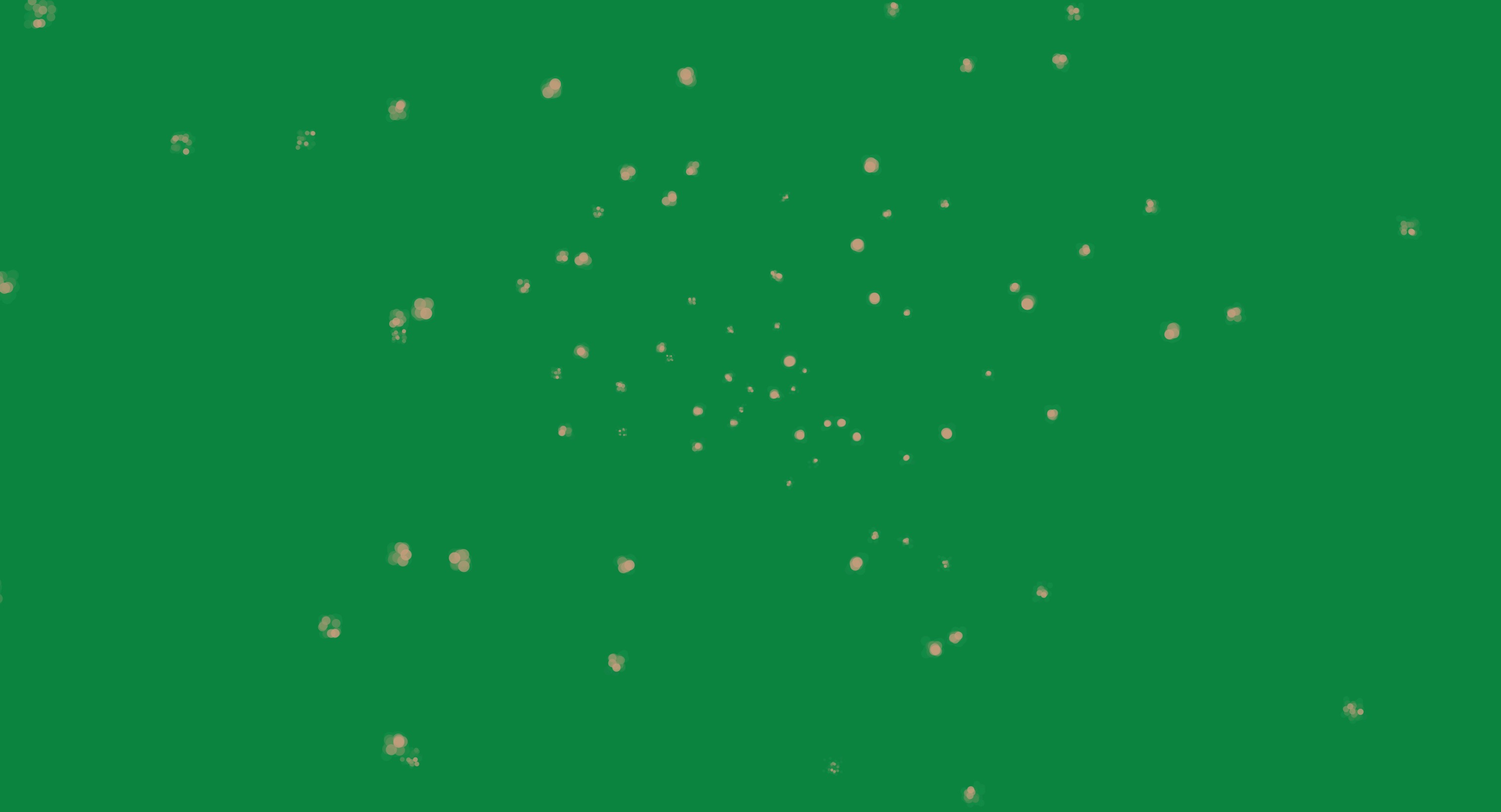 Finale Version